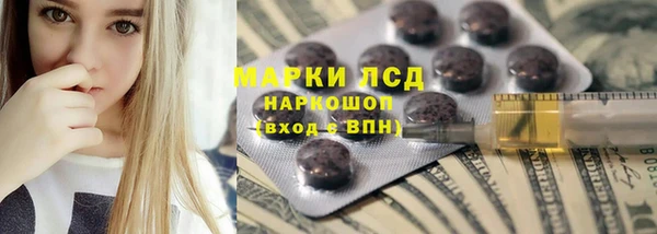 стафф Новозыбков