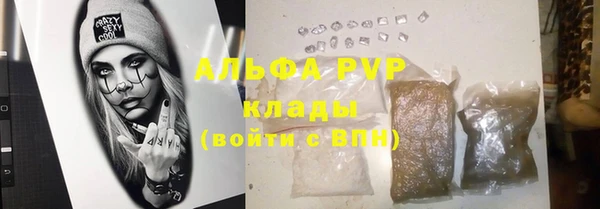 шишки Няндома
