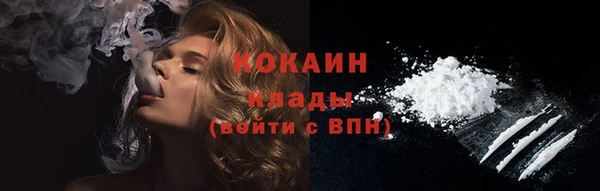 молекула духа Покров