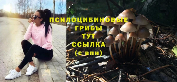 спиды Гусь-Хрустальный