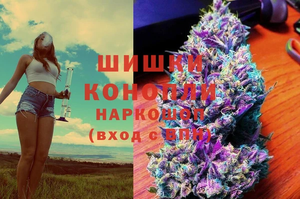 стафф Новозыбков