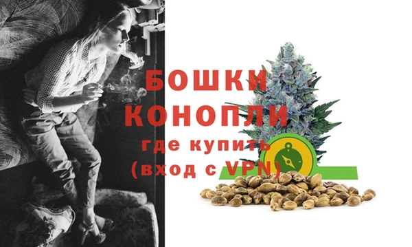 стафф Новозыбков