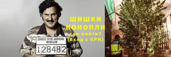 стафф Новозыбков