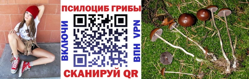 Галлюциногенные грибы Magic Shrooms  Остров 