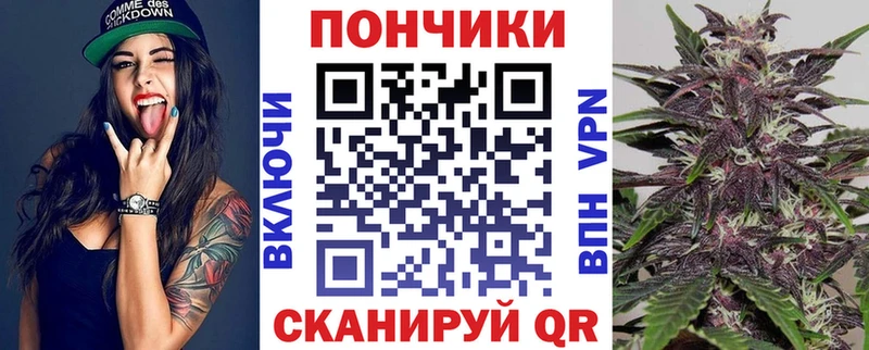 Бошки марихуана планчик  наркошоп  Остров 